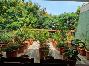 Terrace Garden